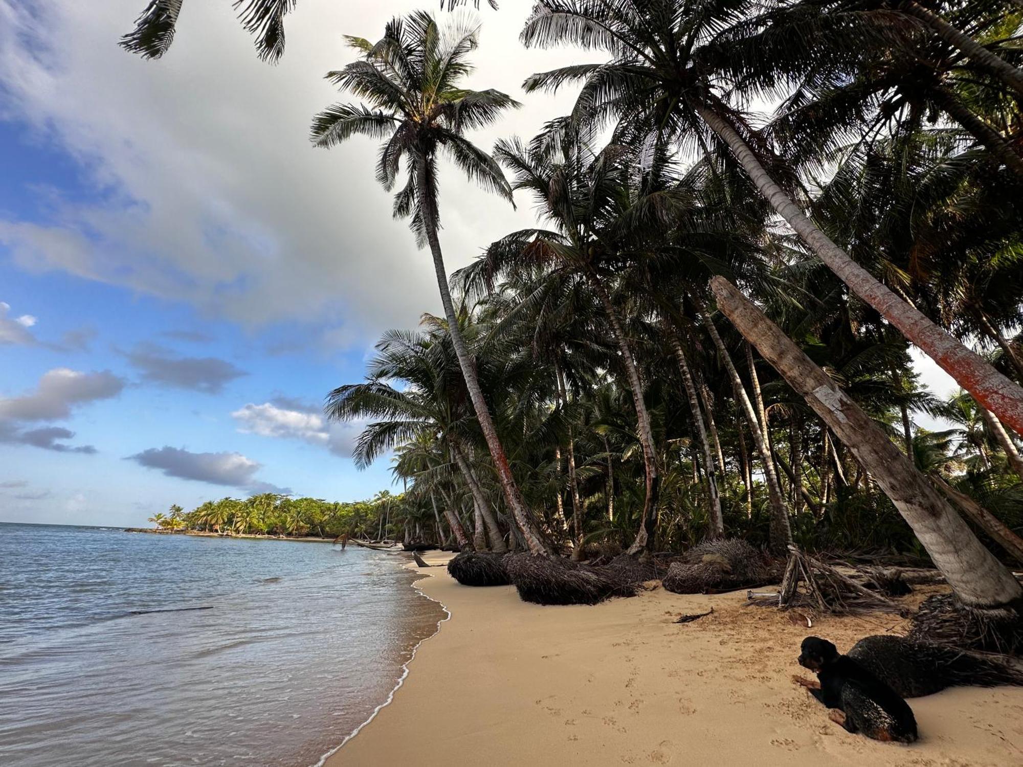 Ensuenos Natural Reserve Little Corn Island Nicaragua Екстер'єр фото